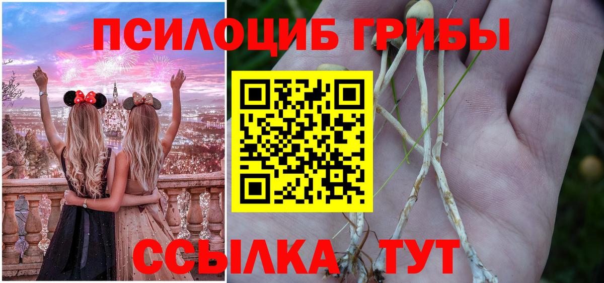 Псилоцибиновые грибы мухоморы Калининград
