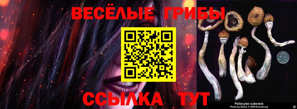 Галлюциногенные грибы прущие грибы  Вход с VPN  Калининград 
