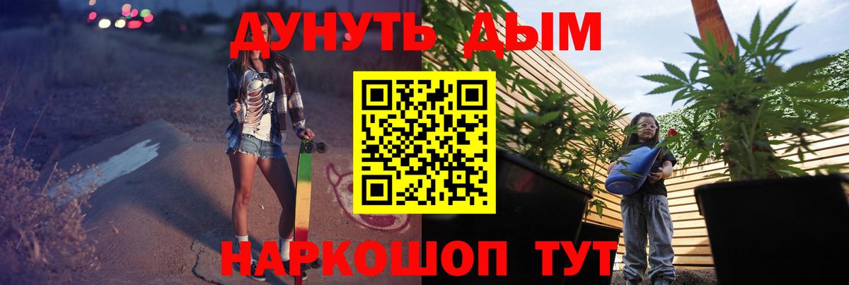 Бошки Шишки планчик Калининград